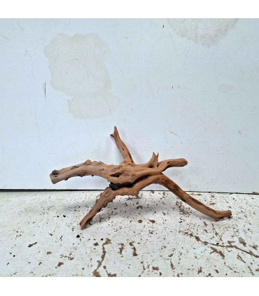 Slim Wood N125 para Acuario | Madera Natural Única