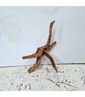 Slim Wood N126 para Aquário | Madeira Natural Única