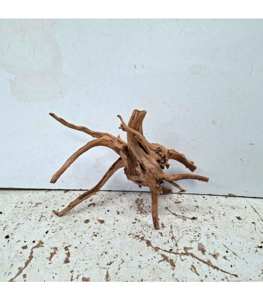 Slim Wood N127 para Acuario | Madera Natural Única