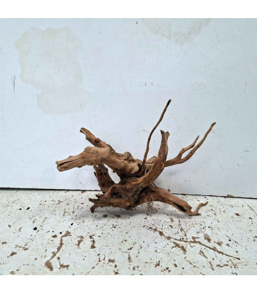 Slim Wood N129 para Aquário | Madeira Natural Única
