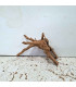 Slim Wood N130 para Aquário | Madeira Natural Única