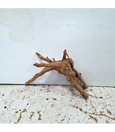 Slim Wood N130 para Aquário | Madeira Natural Única