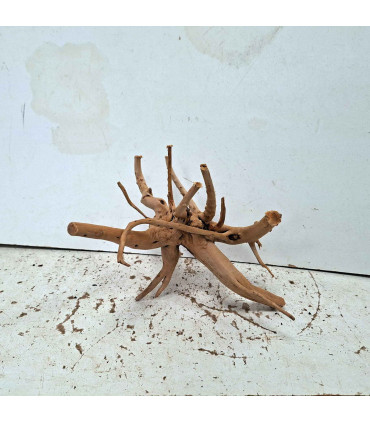 Slim Wood N134 para Acuario | Madera Natural Única