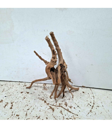 Slim Wood N138 para Acuario | Madera Natural Única