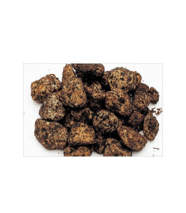 Sustrato ADA Power Sand Advance L