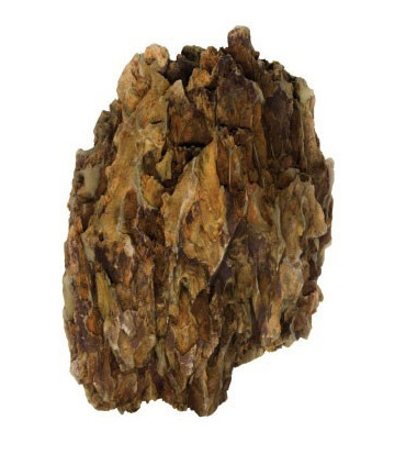 Roca Dragón KG | Acuario Plantado