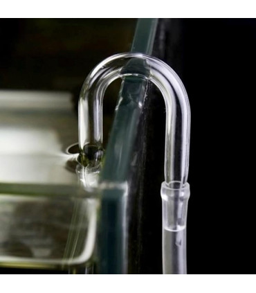 U Glass Vidrio | Acuario Plantado