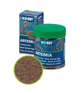 Ovos de Artemia Hobby 20ml