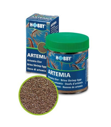 Artemia acuario hobby