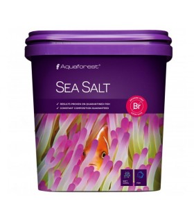 sea_salt