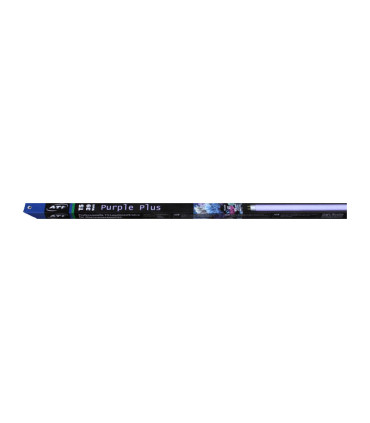 T5-purple-plus-2