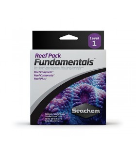 reef-FUNDAMENTALS-pack