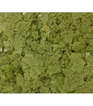 F2-escamas-2