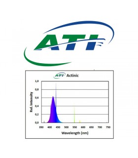 T5-actinicl