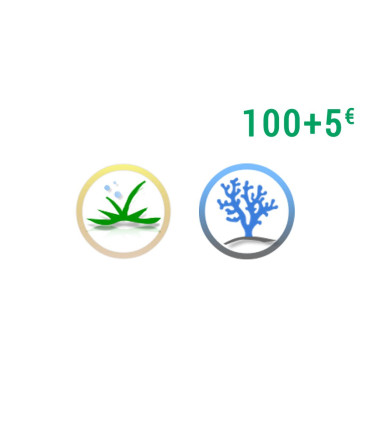 Tarjeta Regalo 100€ + 5€ | Acuario Plantado