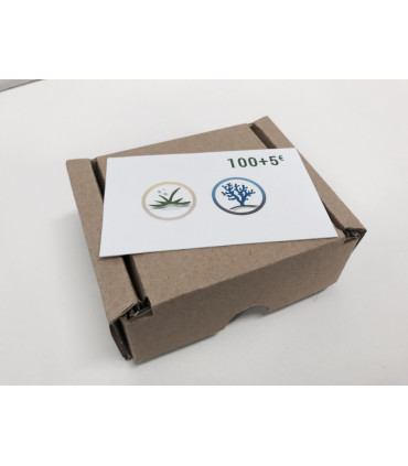 Tarjeta Regalo 100€ + 5€ | Acuario Plantado