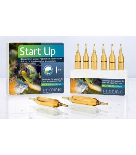 Prodibio StartUp - 12 ampollas