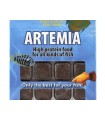 Artêmia Congelada - 100gr