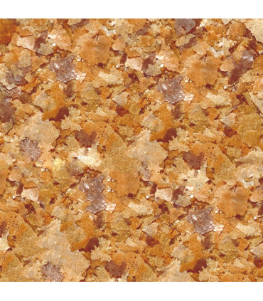 Alimento peces acuario agua fria