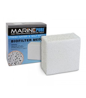 Marine Pure Block 20x20x10cm