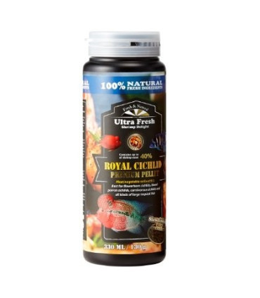 Ciclidos | Acuario Plantado