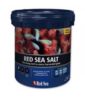 Sal Red Sea - 22Kgs