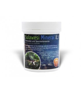 Salty Shrimp Sulawesi Mineral 8.5 - 100gr