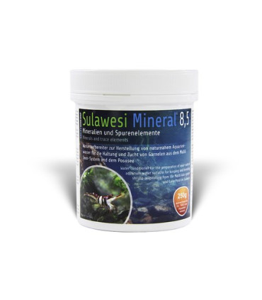 Sales gambas salty shrimp