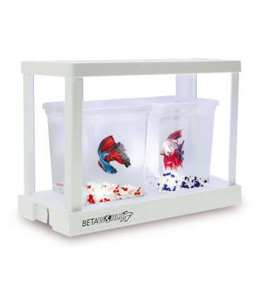 Kit de iniciación bettaworld