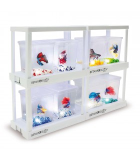 Kit ampliación Bettaworld (2 bettas)