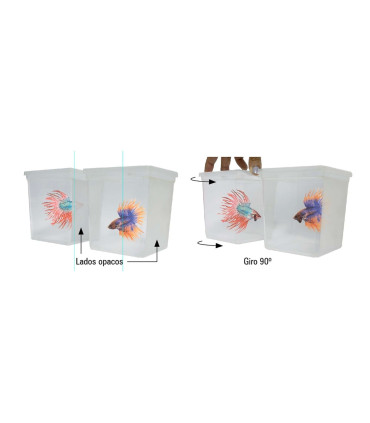 Kit ampliación bettaworld