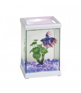 Kit Betta Space LED