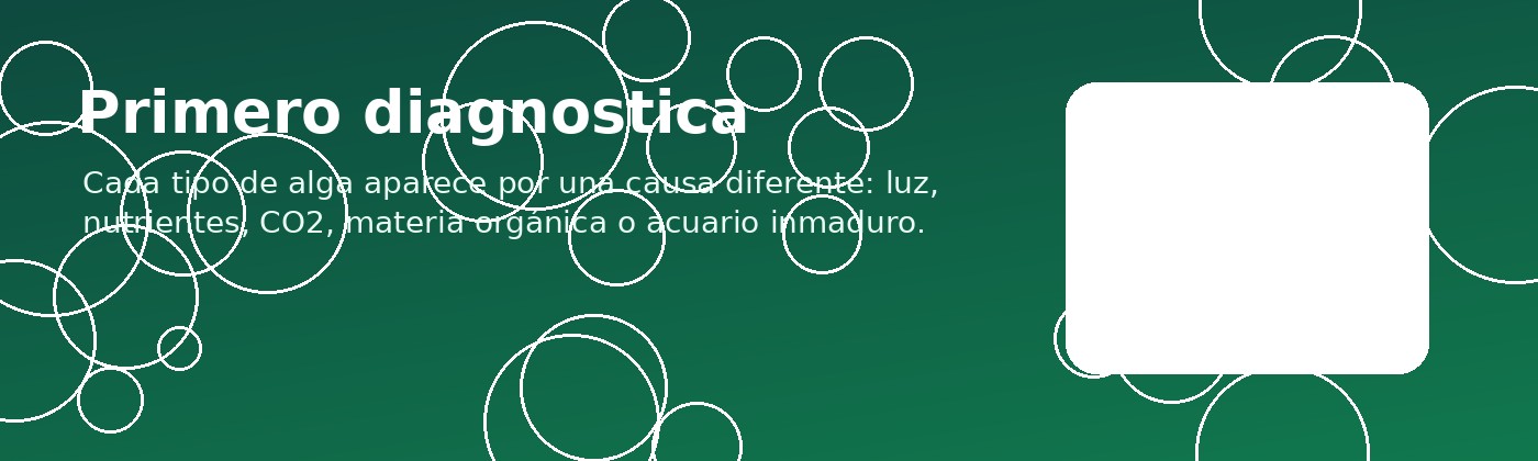 Antes de eliminar algas de acuario hay que diagnosticar la causa