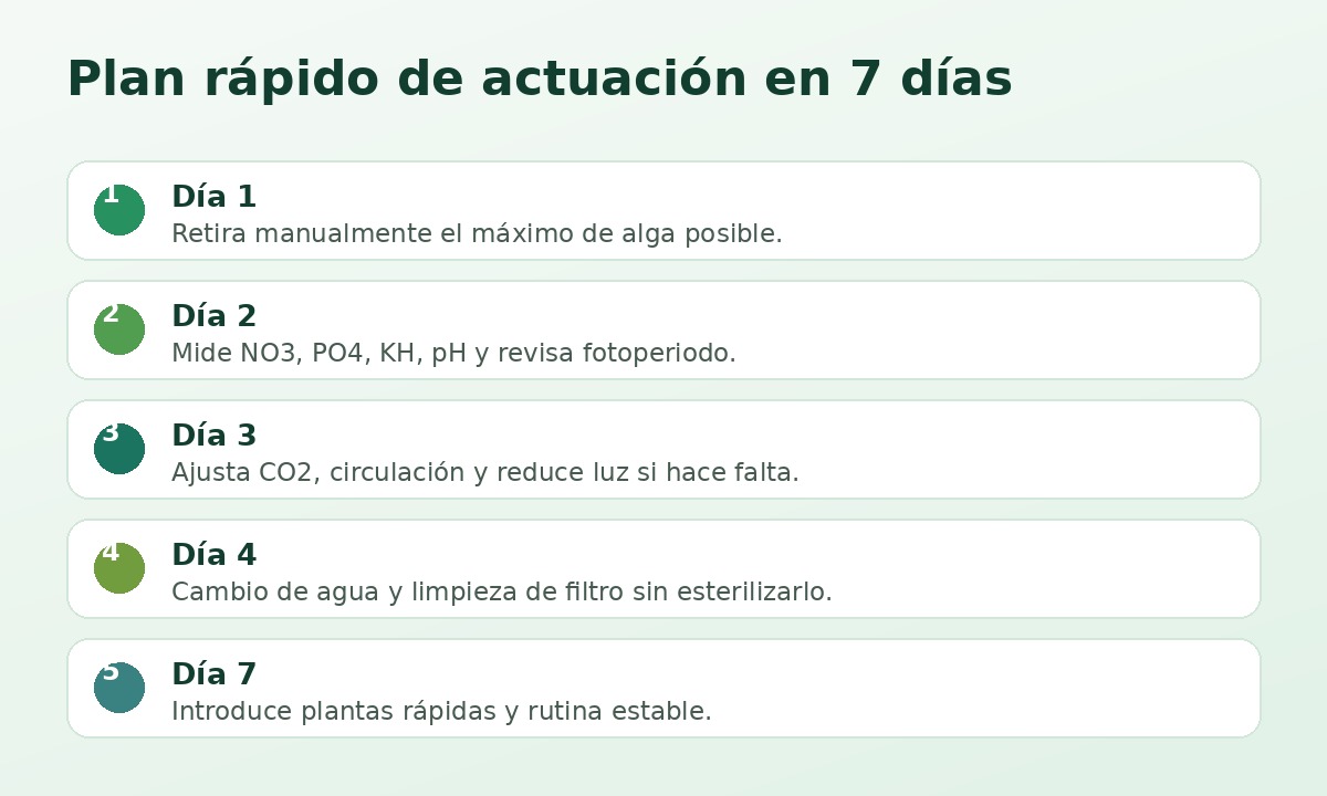 Plan de 7 días para eliminar algas de acuario