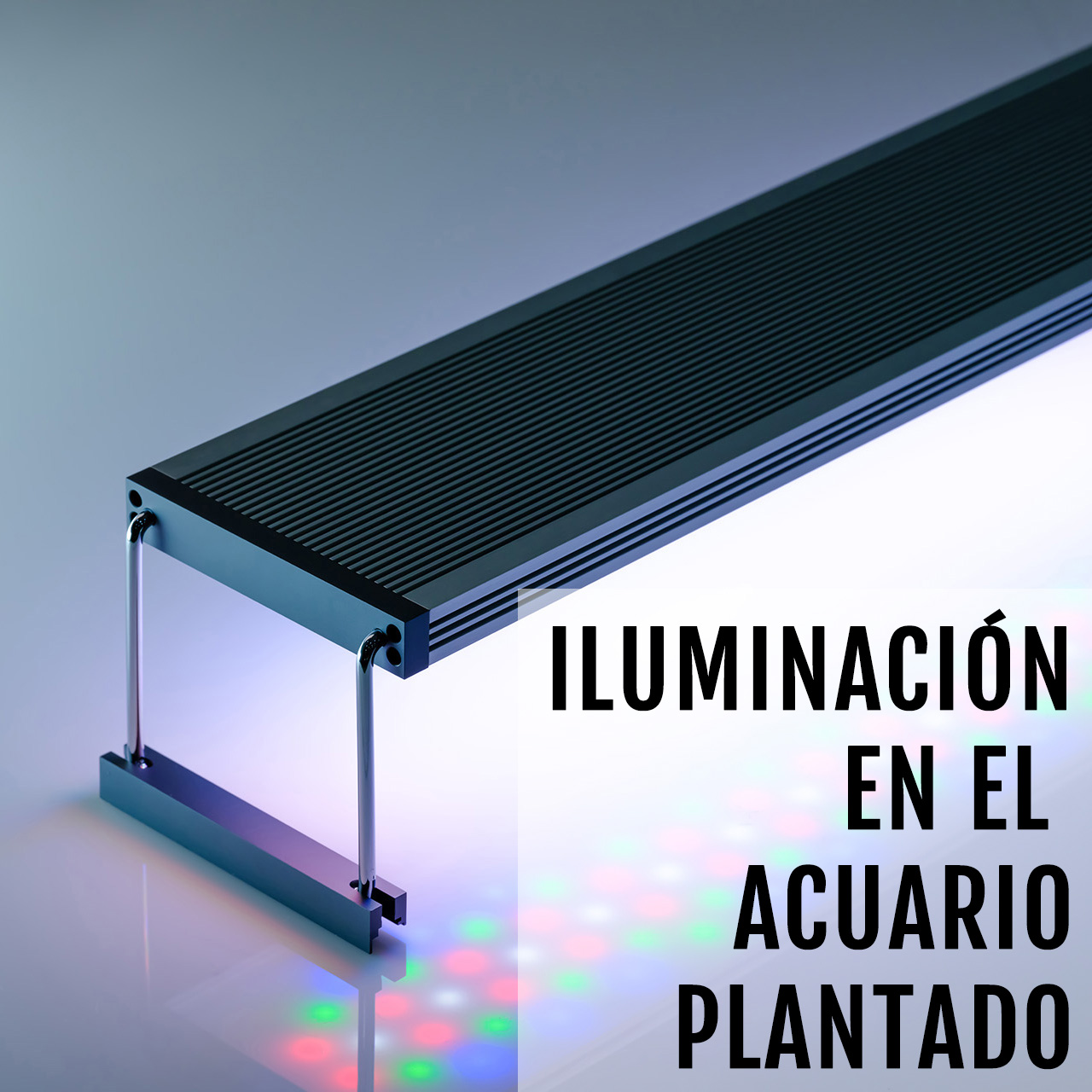 ILUMINACIÓN