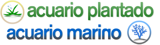 Acuario Plantado