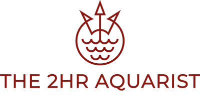 The 2HR Aquarist