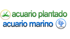 Acuario Natural Acuario Natural